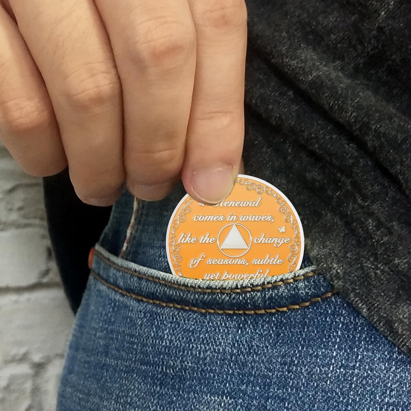 Fall Leaves & Serenity Girl Autumn Sobriety Coin mysite