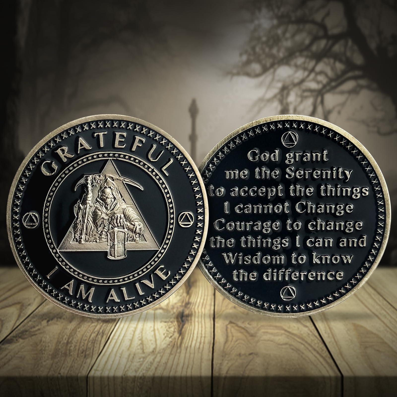 AA Medallion Recovery Grateful I Am Alive Sobriety Coin mysite