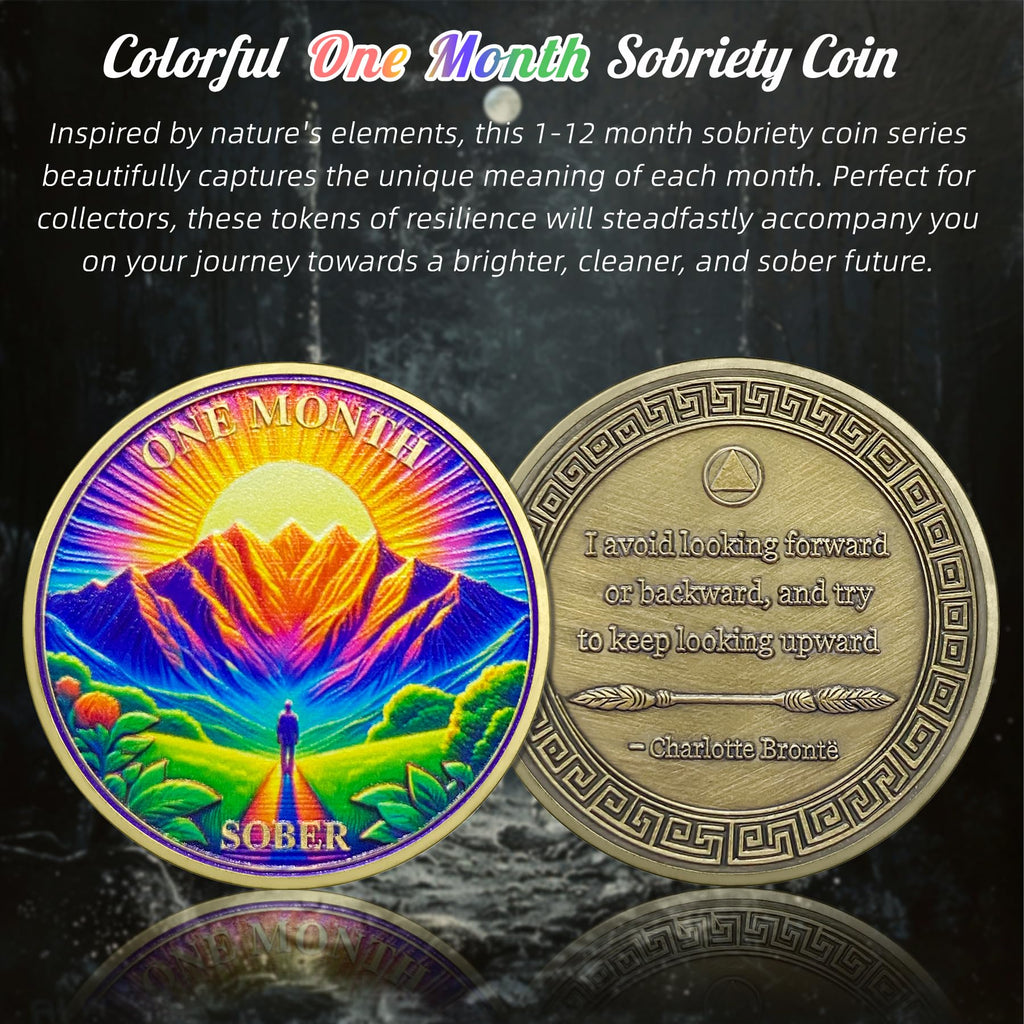 1-12 Months Recovery Addiction Celebrate Living Clean Sobriety Coin mysite