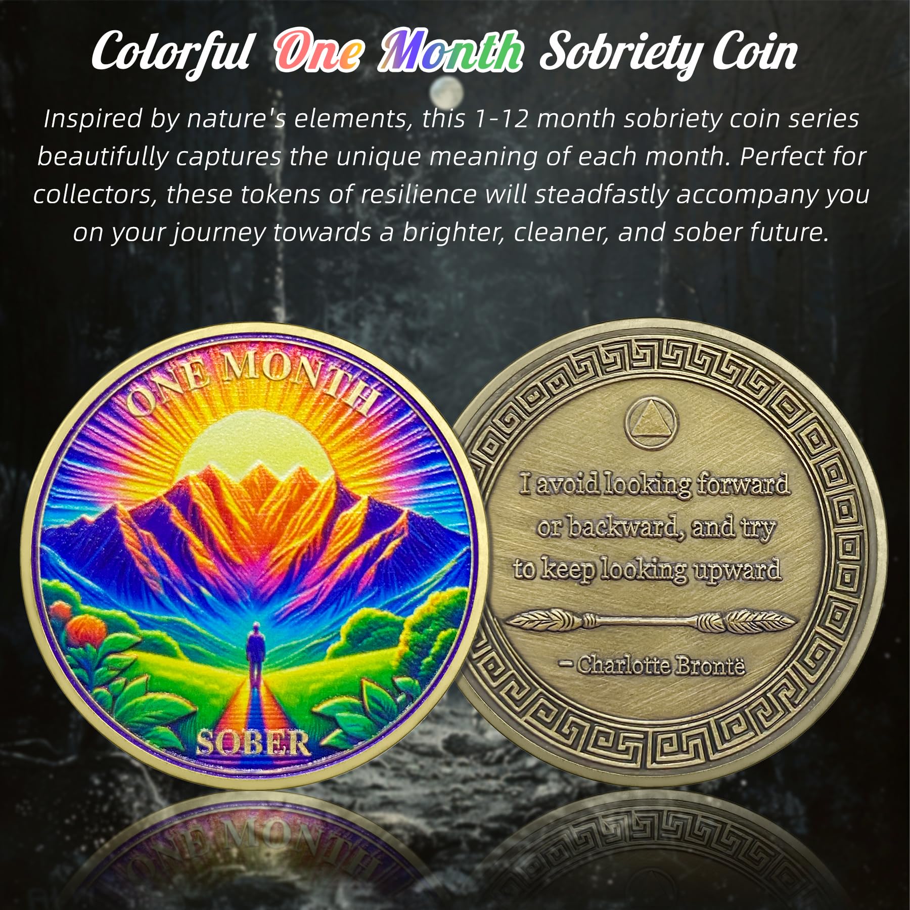 1-12 Months Recovery Addiction Celebrate Living Clean Sobriety Coin mysite