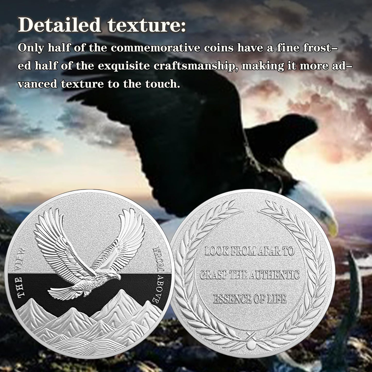 The View from Above Eagle Inspiring Challenge Coin mysite