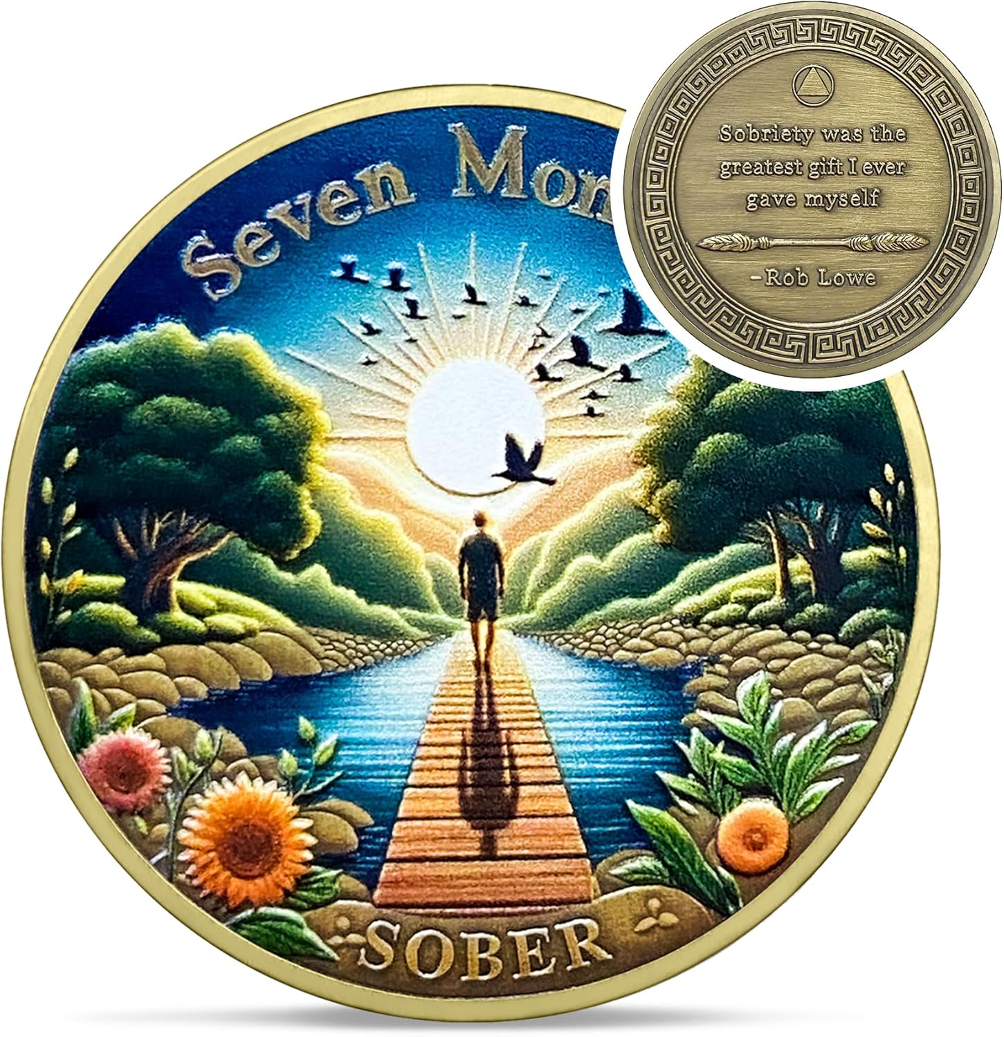 1-12 Months Recovery Addiction Celebrate Living Clean Sobriety Coin mysite
