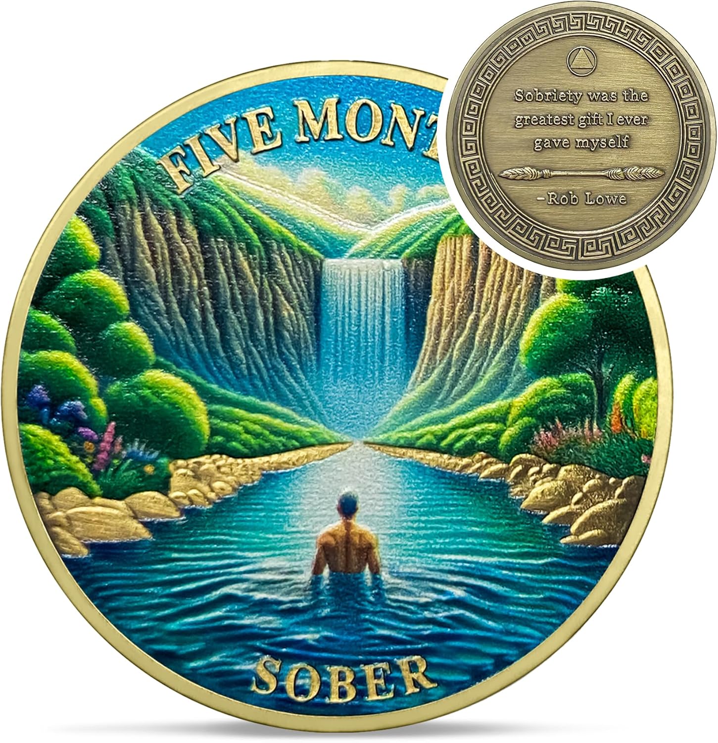 1-12 Months Recovery Addiction Celebrate Living Clean Sobriety Coin mysite