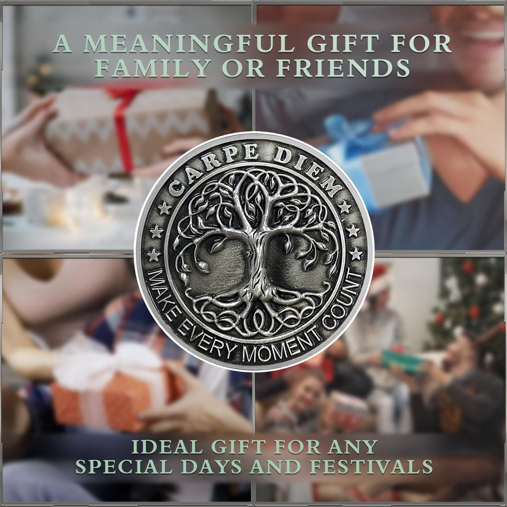 Memento Mori Memento Vivere Coin 3D Skull Challenge Coins mysite