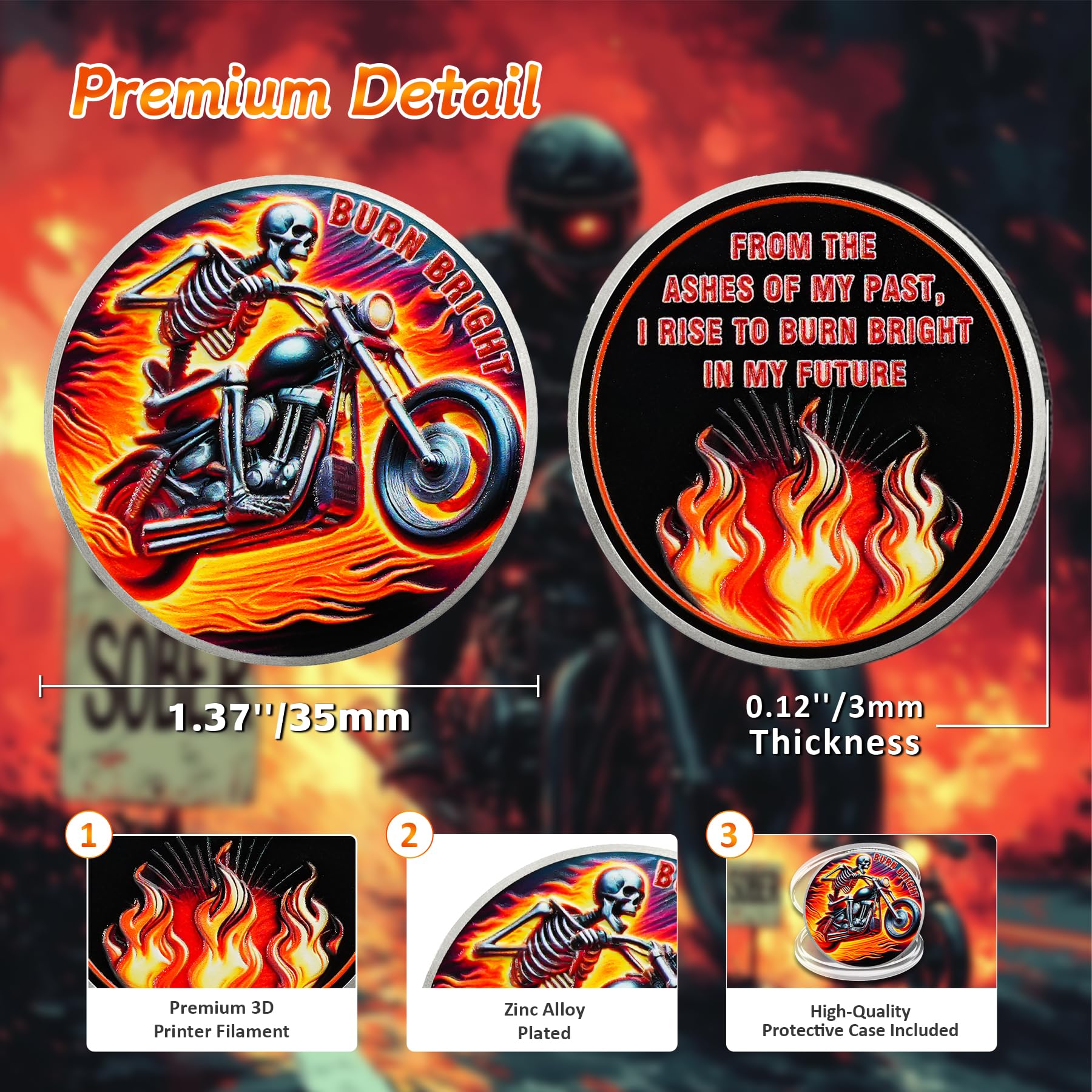 Rising from The Ashes Riding Freedom Skull Sobriety Coin mysite