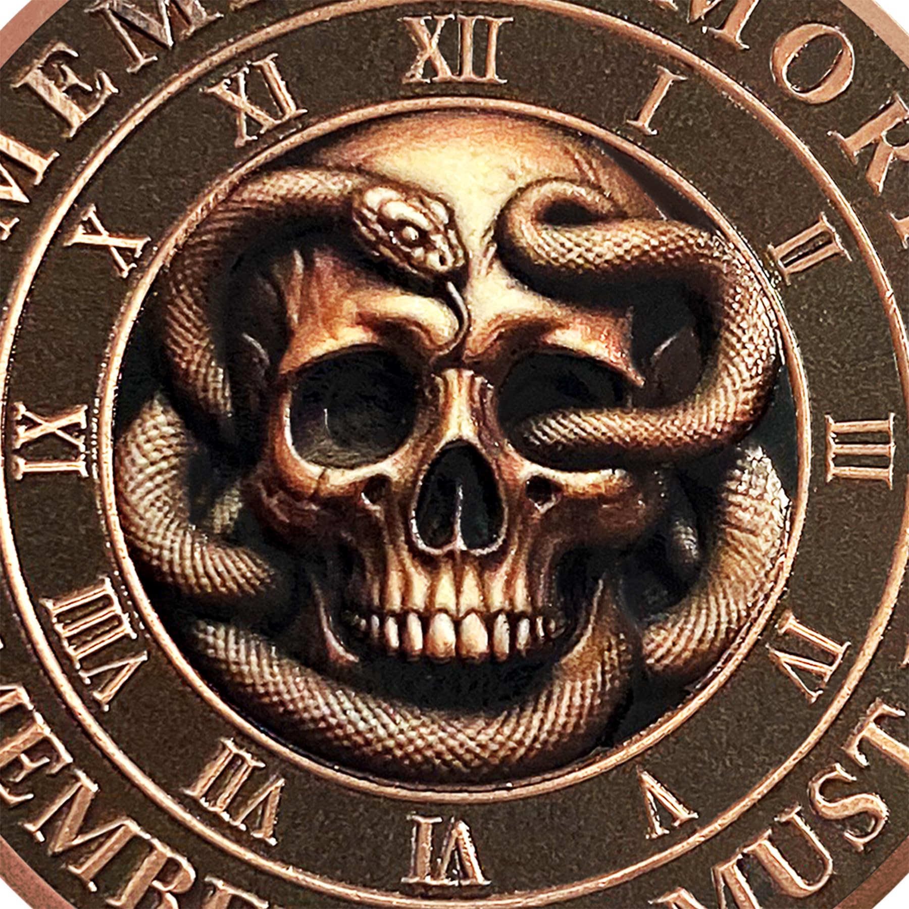 Daily Stoic Reminder Memento Mori Coin Skull Challenge Coins mysite