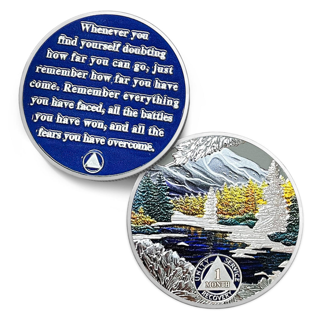 1-12 Month Recovery Seasonal Landscapes Sobriety Coins mysite