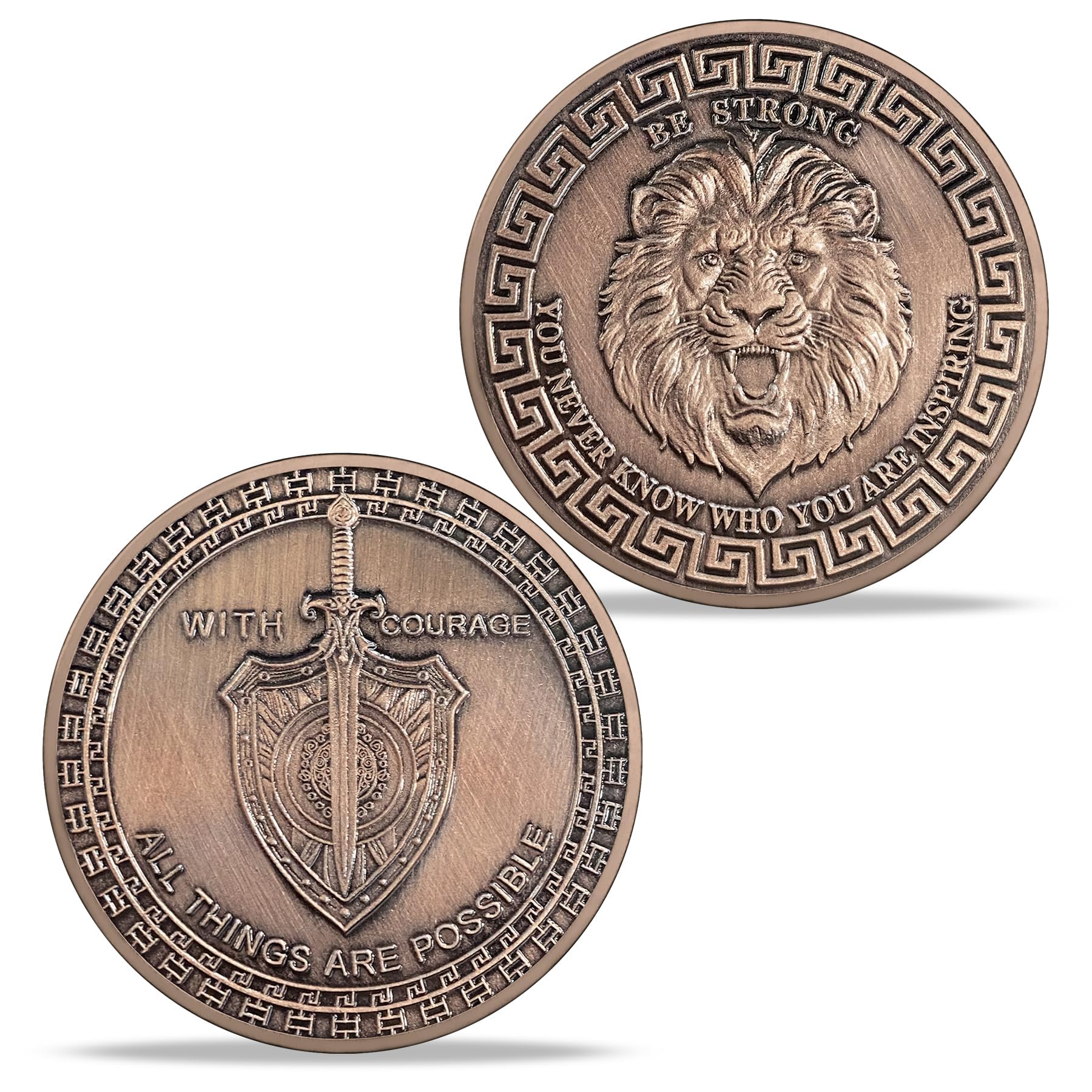 Symbol of Courage and Strength Lion Sword and Shield Challenge Coin mysite