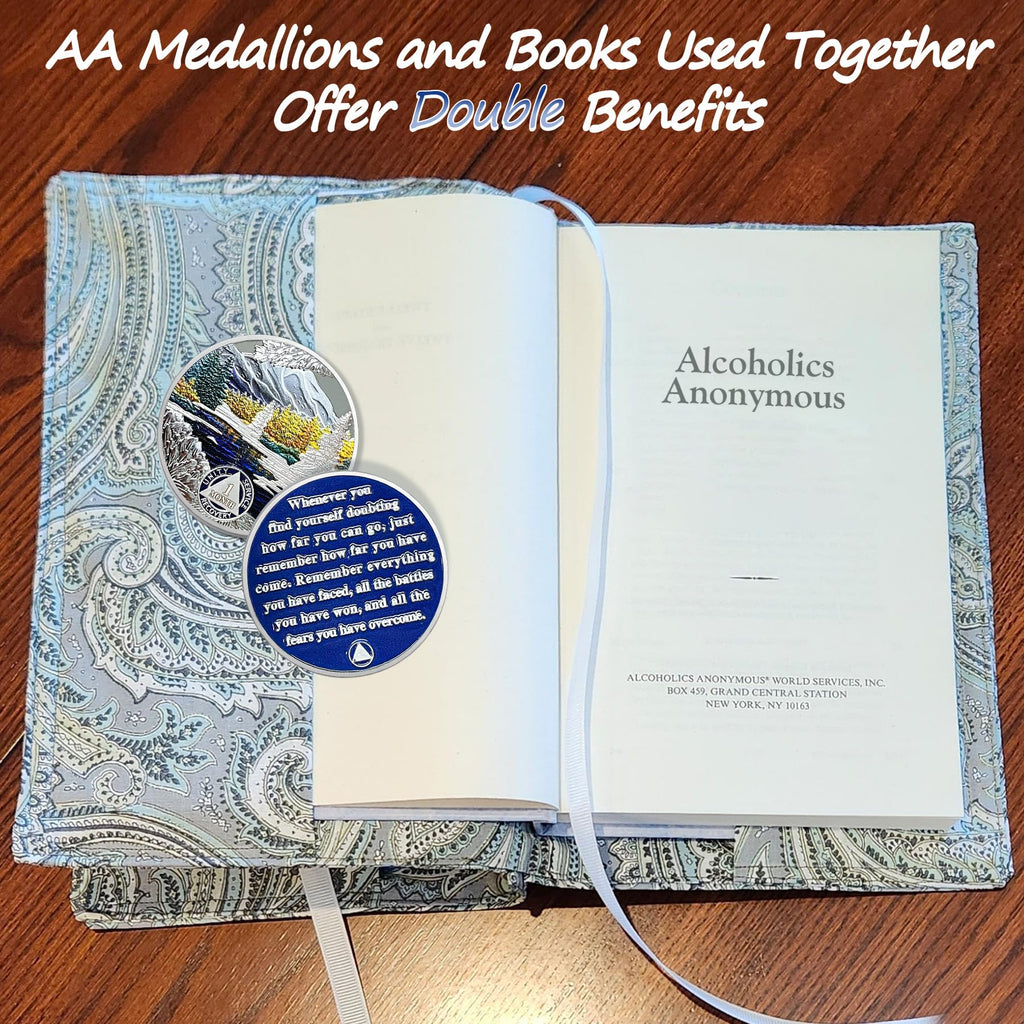 1-12 Month Recovery Seasonal Landscapes Sobriety Coins mysite