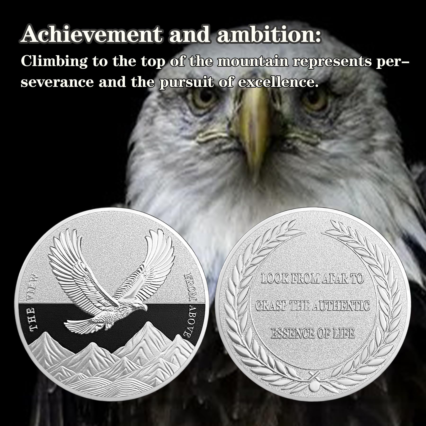 The View from Above Eagle Inspiring Challenge Coin mysite