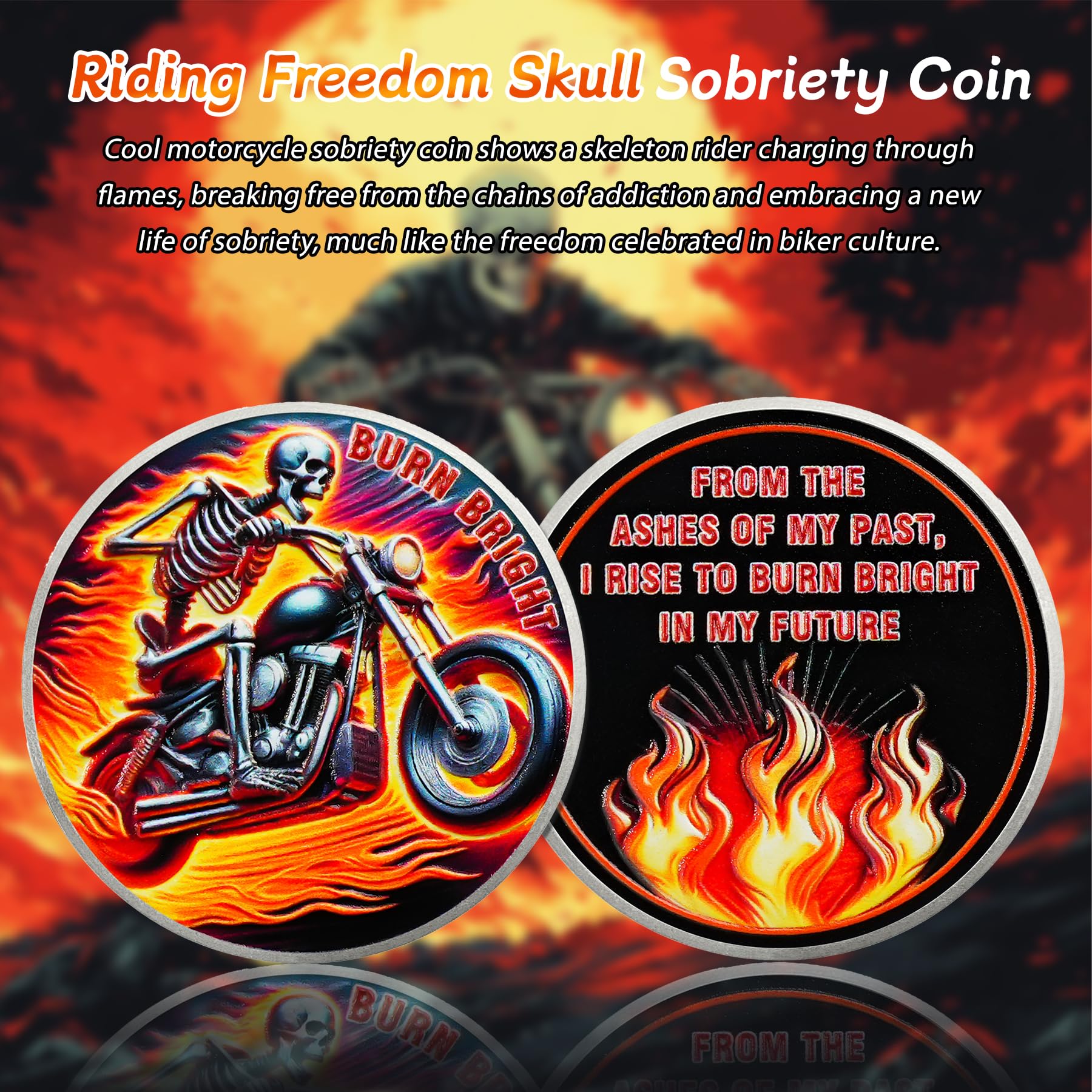 Rising from The Ashes Riding Freedom Skull Sobriety Coin mysite
