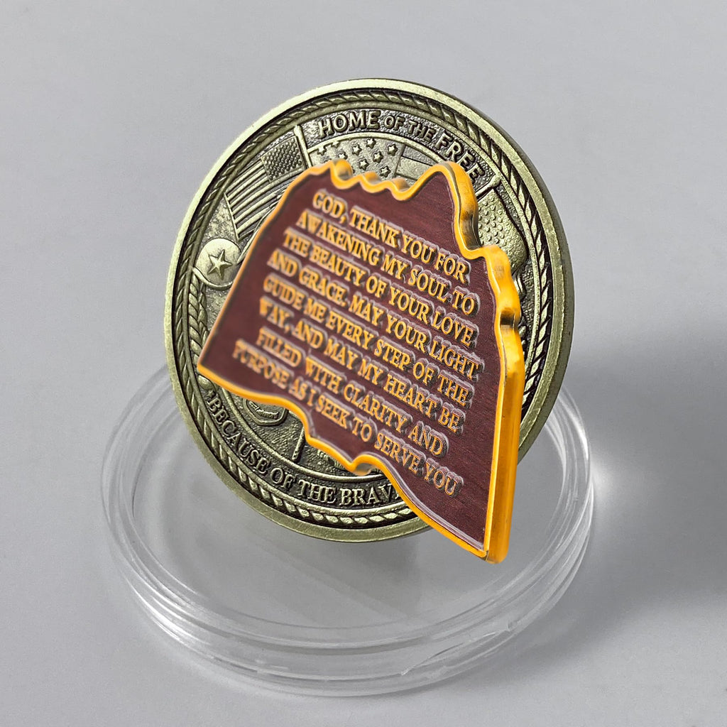 Book of Illusions Mountain Sobriety Coin mysite