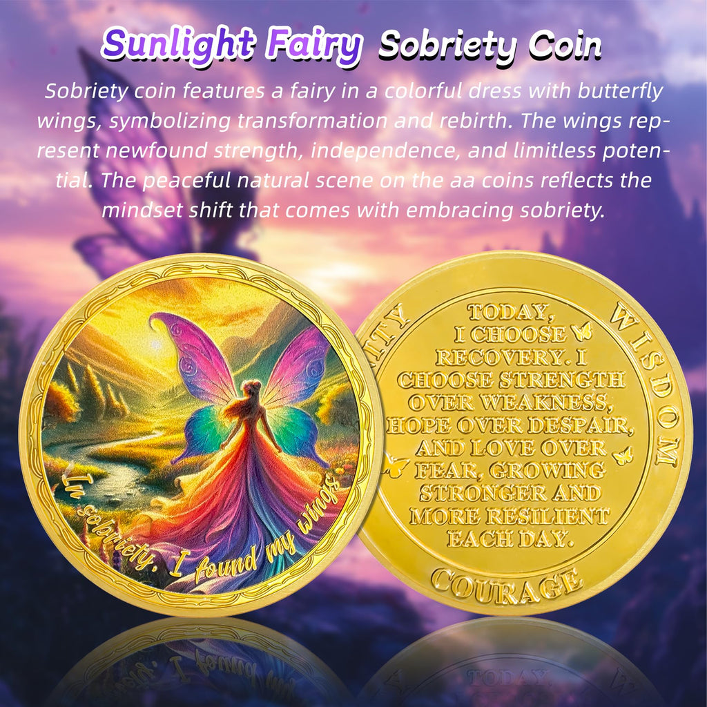 Affirmation Sunlight Fairy Mountains Recovery Addiction Sobriety Coin mysite