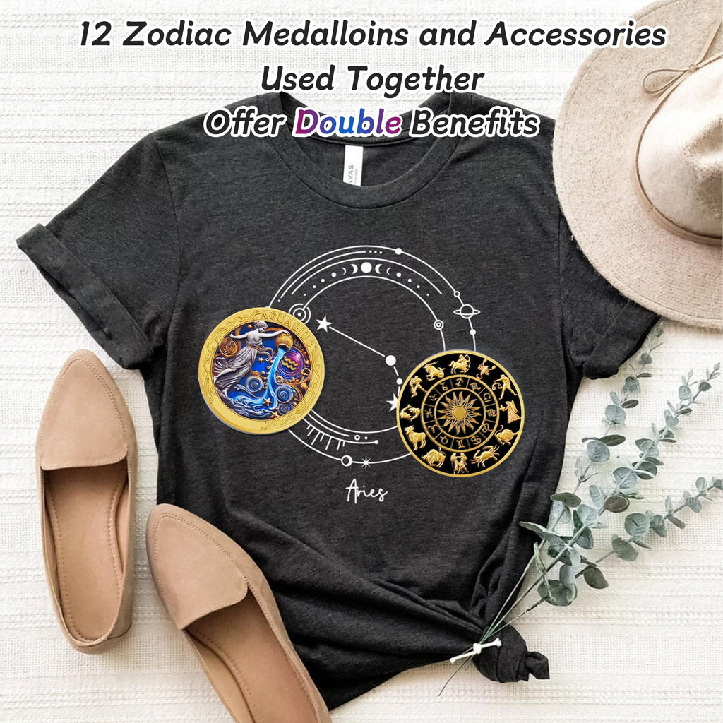 Aquarius 12 Zodiac Protective Talisman Challenge Coin mysite