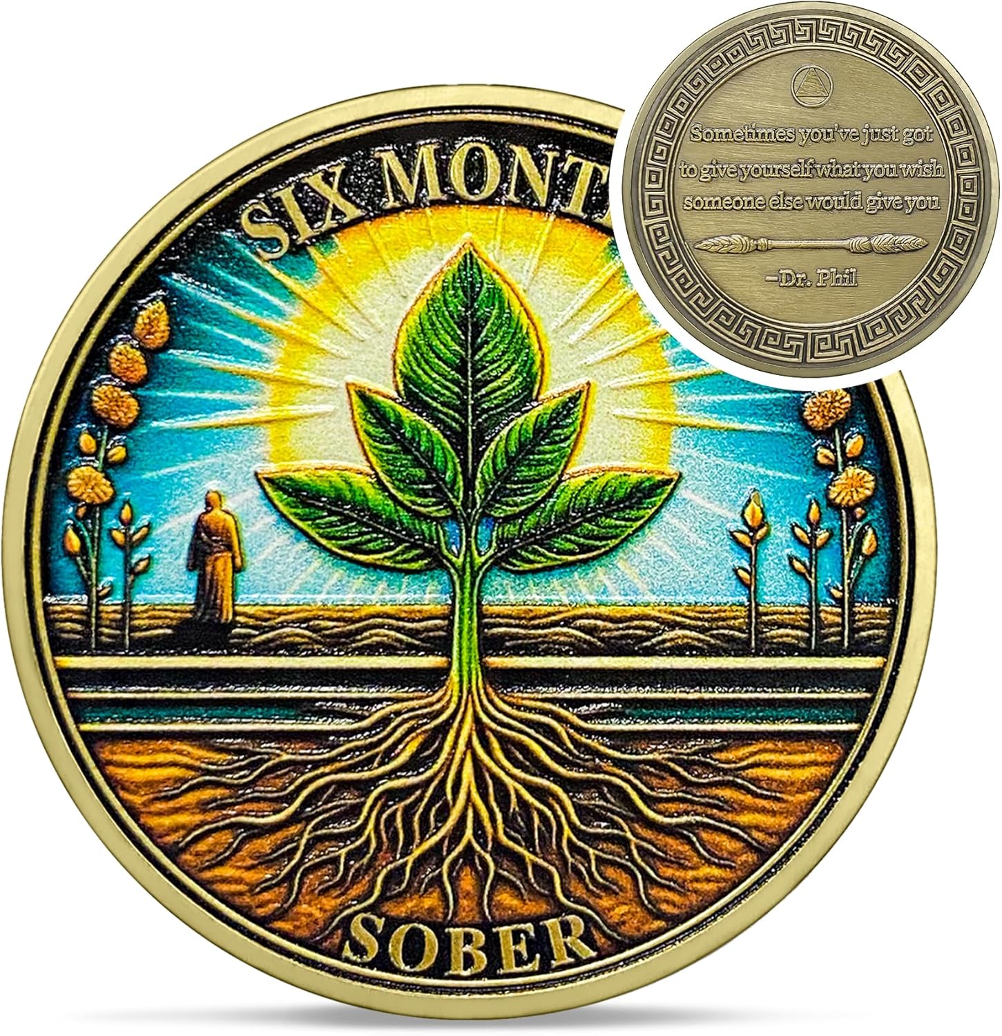 1-12 Months Recovery Addiction Celebrate Living Clean Sobriety Coin mysite