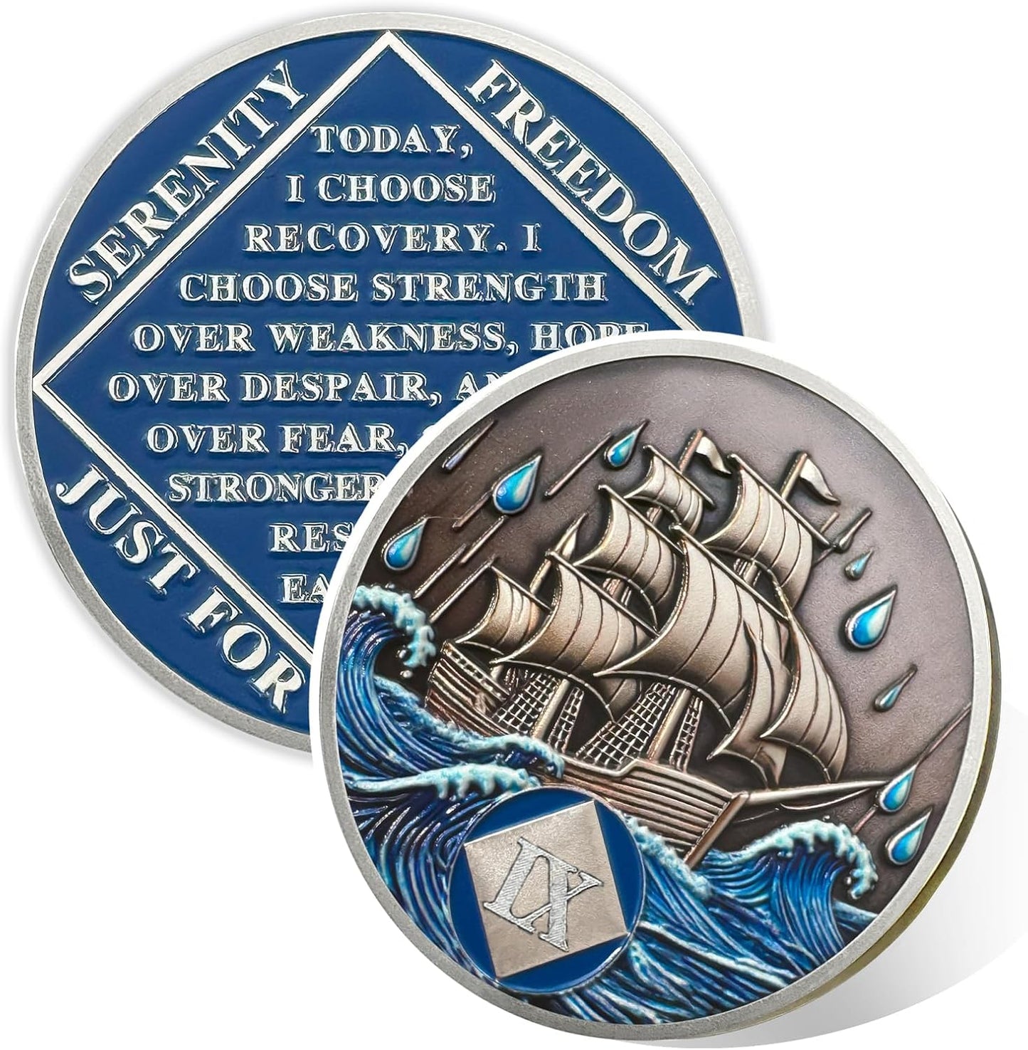 Personalized Addiction Recovery Braving The Storm Sobriety Coin mysite