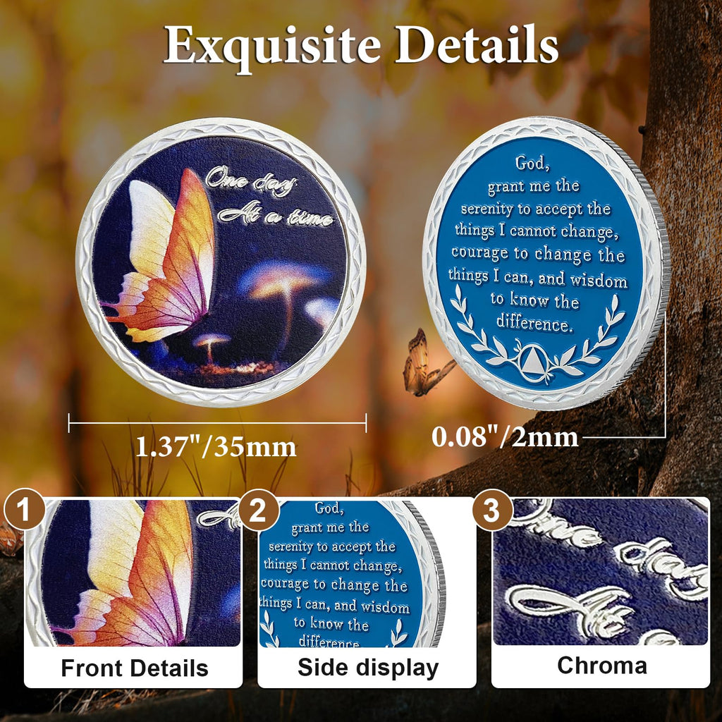 Butterfly Serenity Prayer Chips Addiction Sobriety Coin mysite