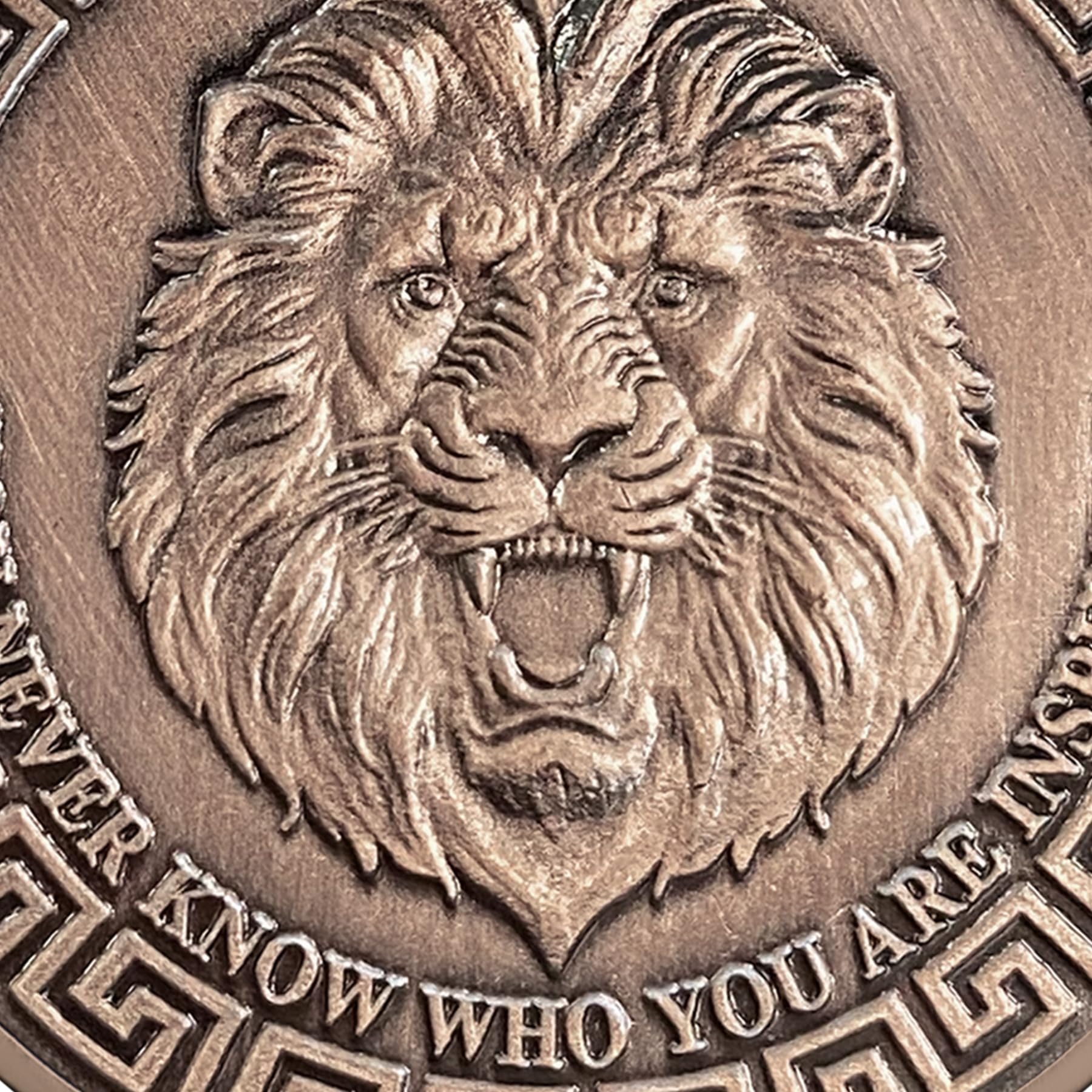 Symbol of Courage and Strength Lion Sword and Shield Challenge Coin mysite