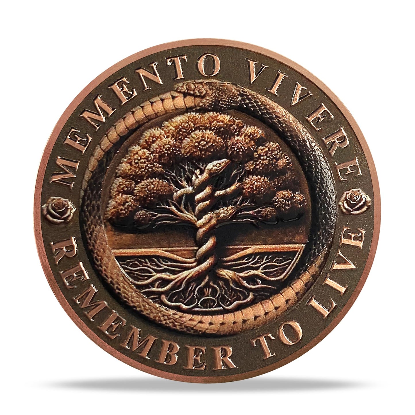 Daily Stoic Reminder Memento Mori Coin Skull Challenge Coins mysite