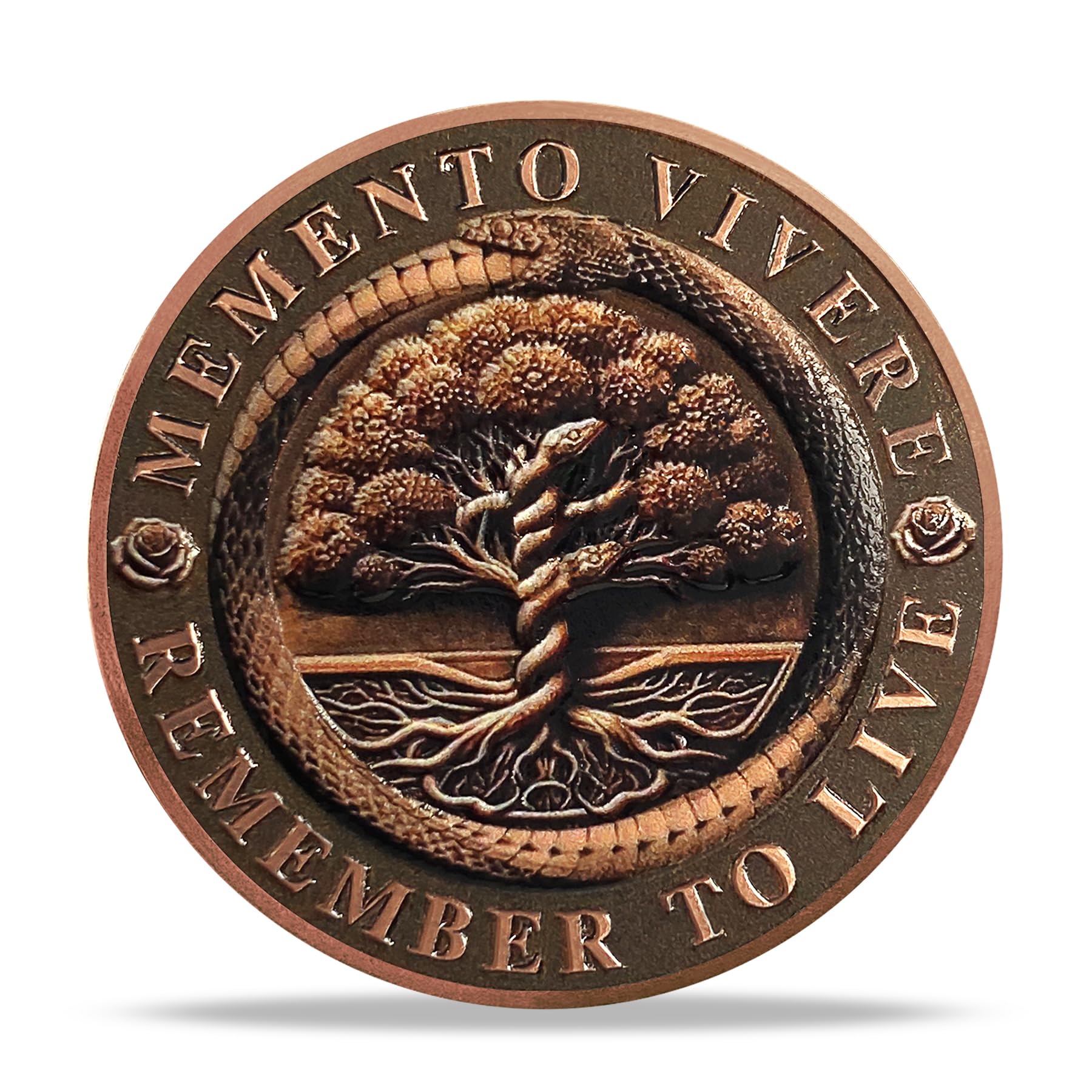 Daily Stoic Reminder Memento Mori Coin Skull Challenge Coins mysite