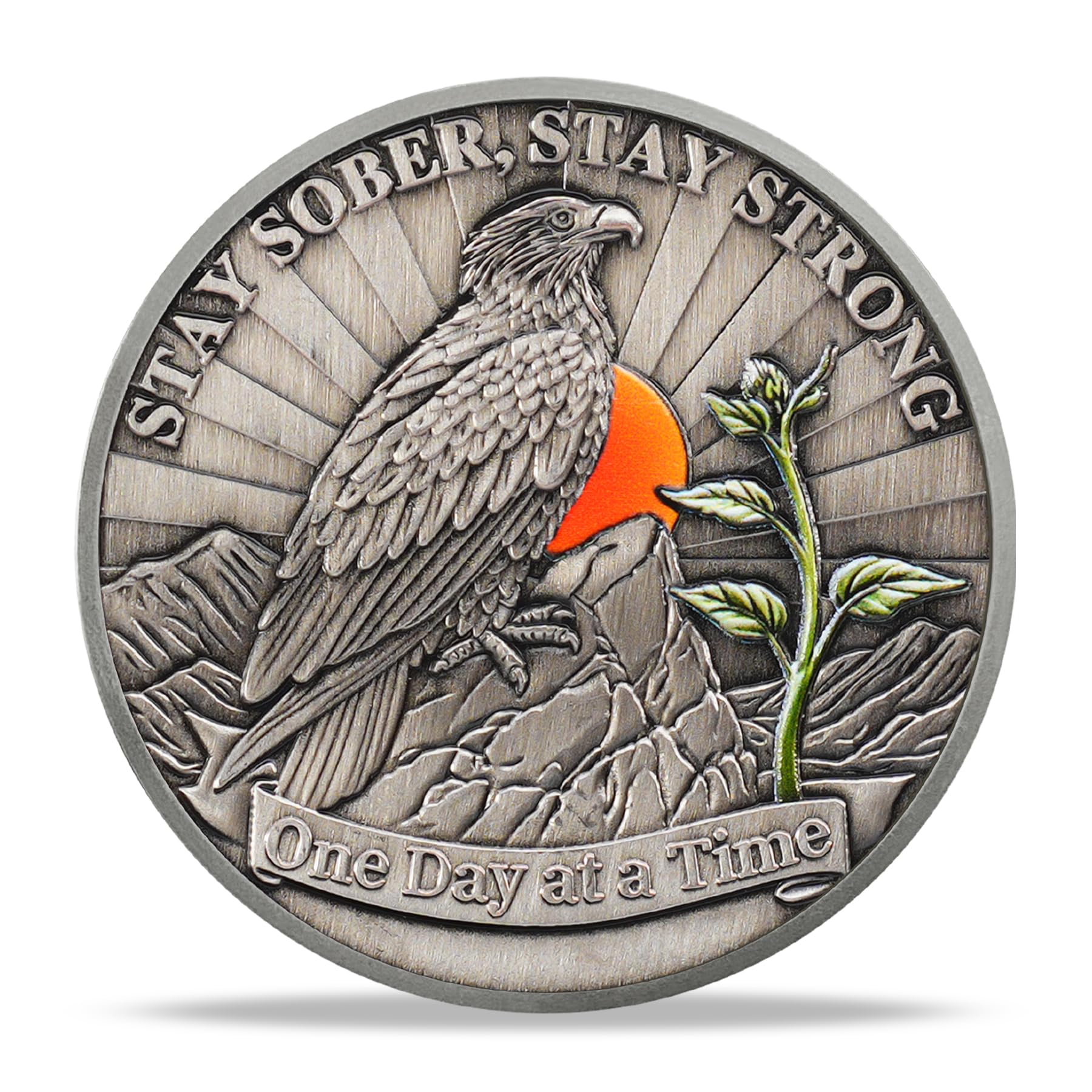 Hope Eagle Celebrating Recovery and Personal Growth Sobriety Coin mysite