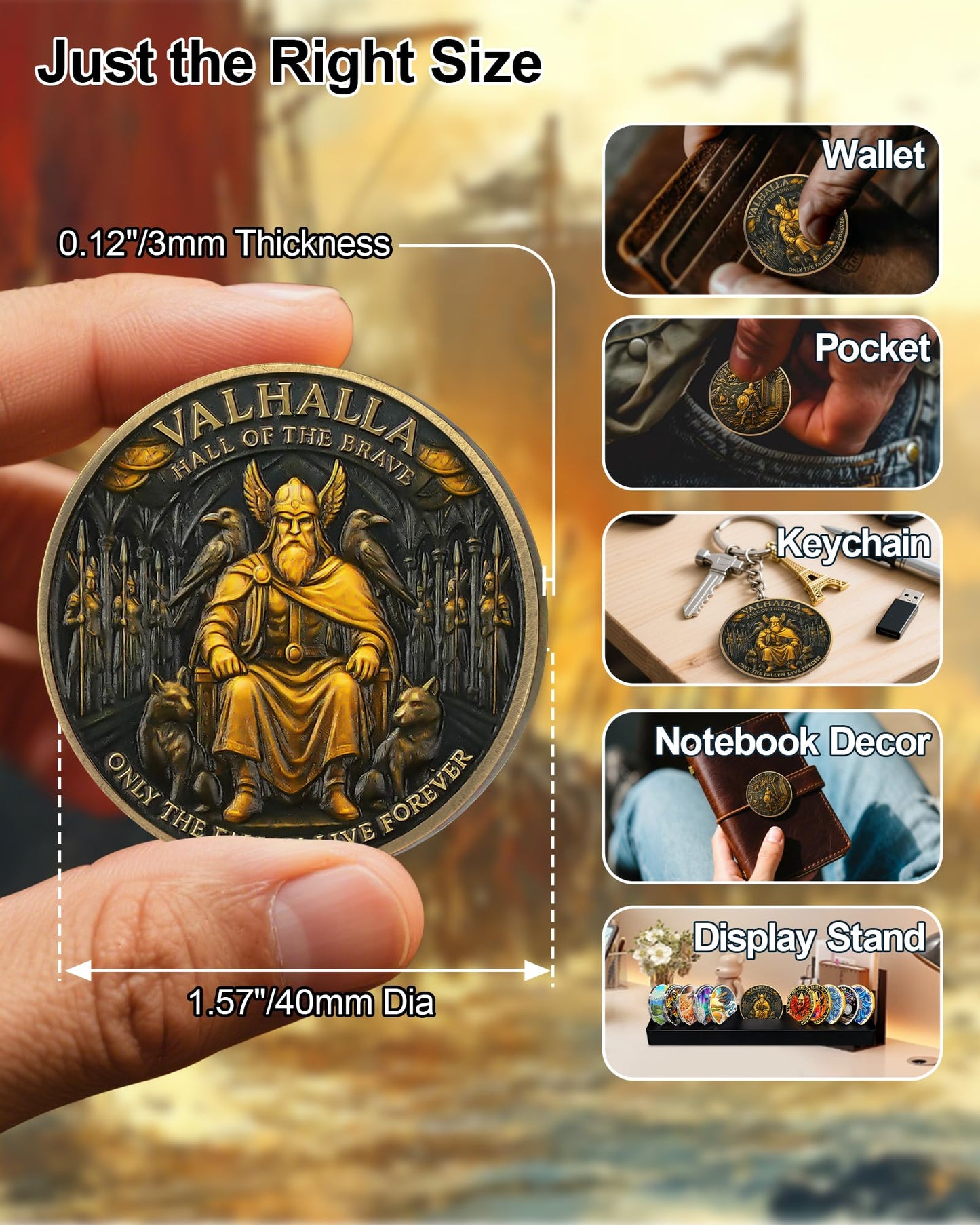 Viking Valhalla Challenge Coin mysite