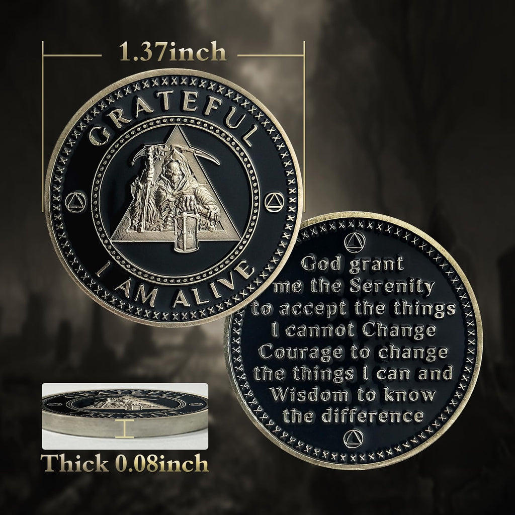 AA Medallion Recovery Grateful I Am Alive Sobriety Coin mysite