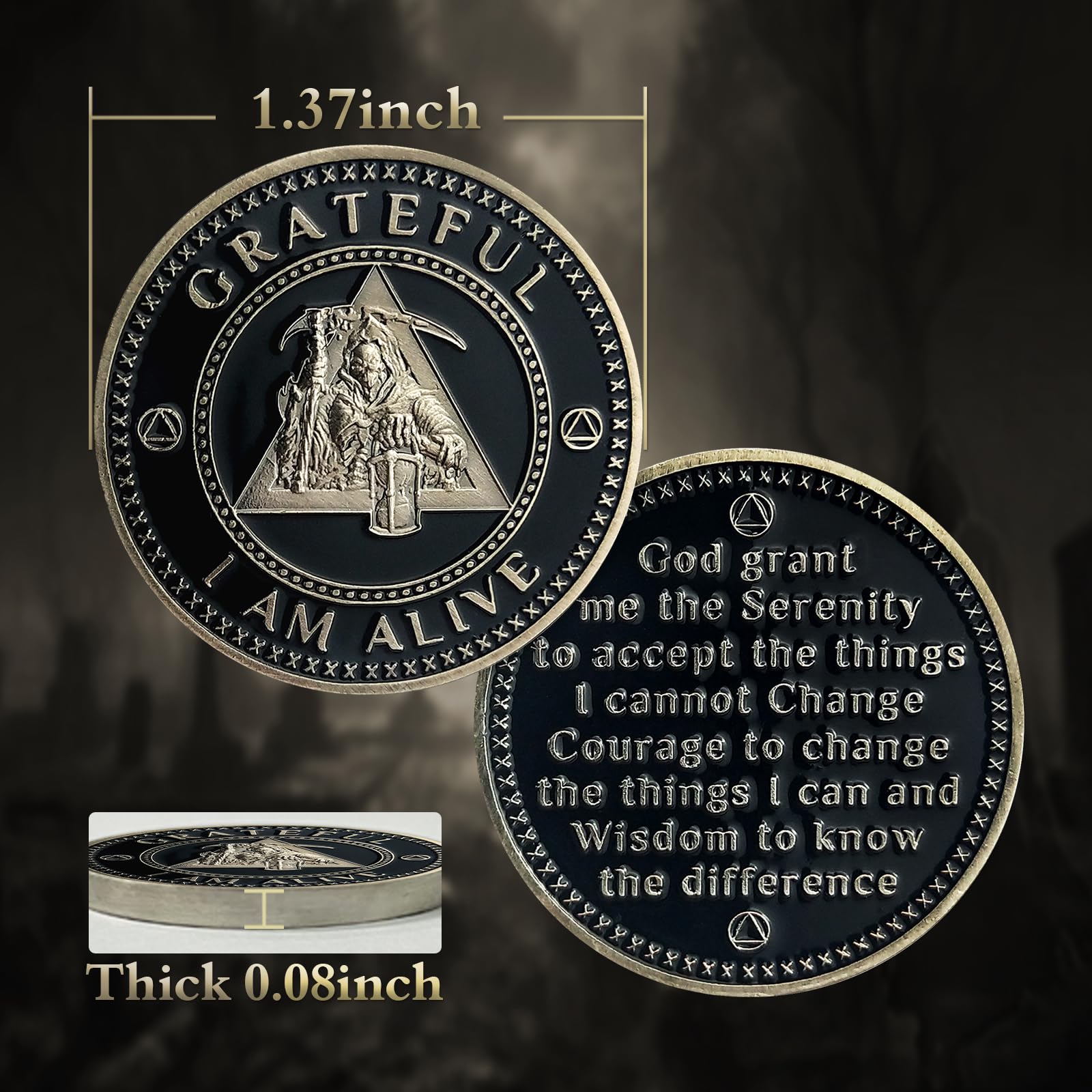 AA Medallion Recovery Grateful I Am Alive Sobriety Coin mysite