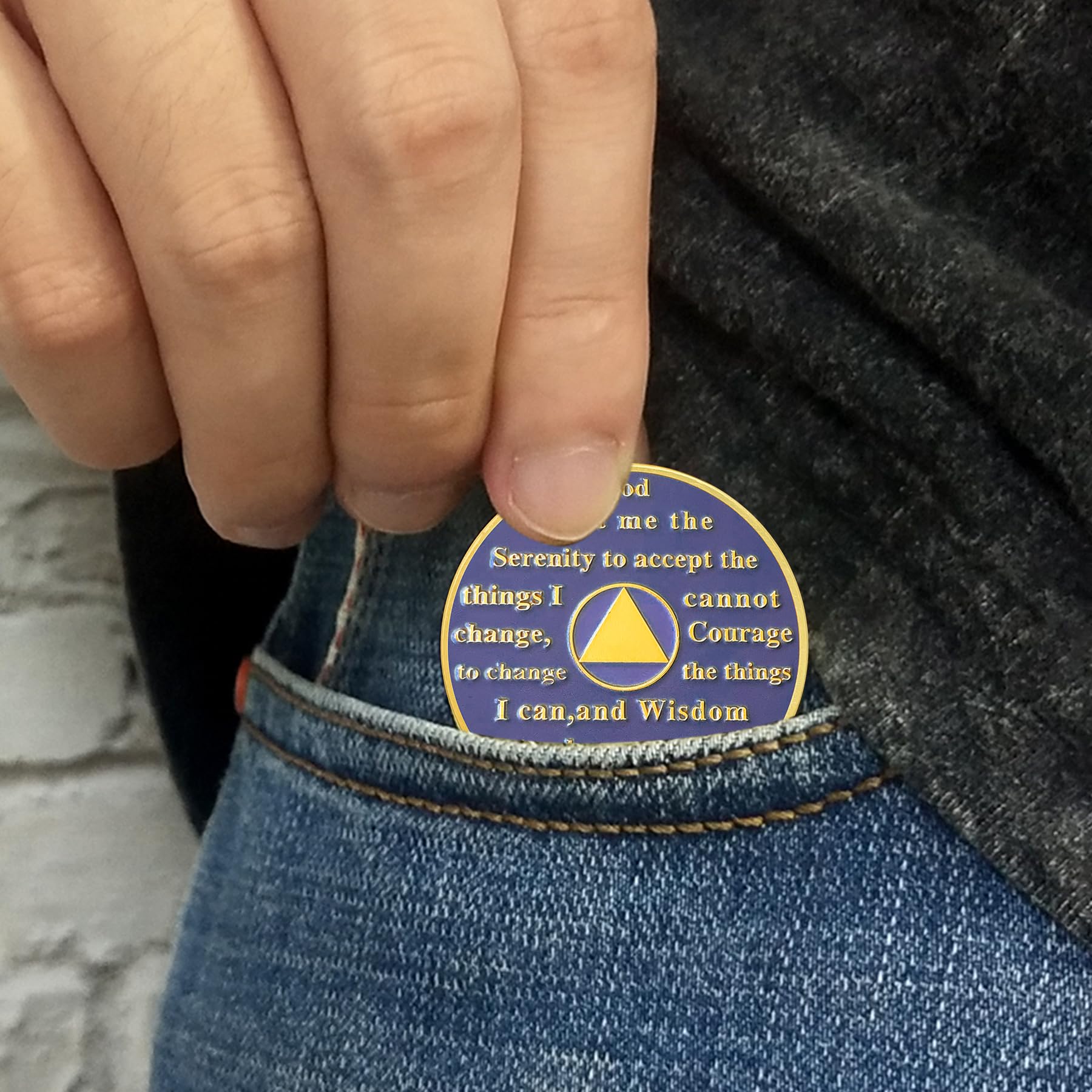 Butterfly Blossom Sobriety Coin mysite