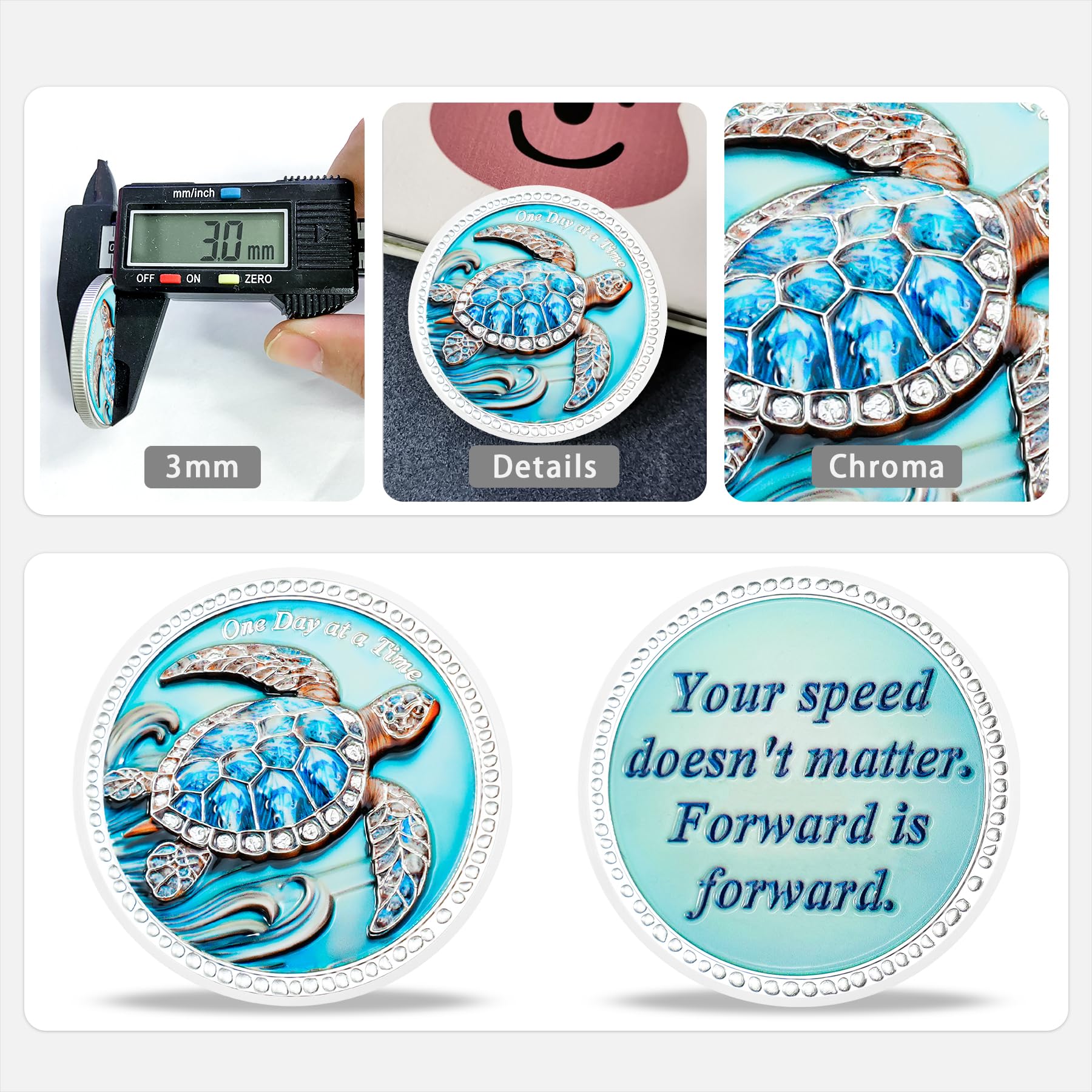 Inspirational Sobriety Coin with 3D Turtle mysite