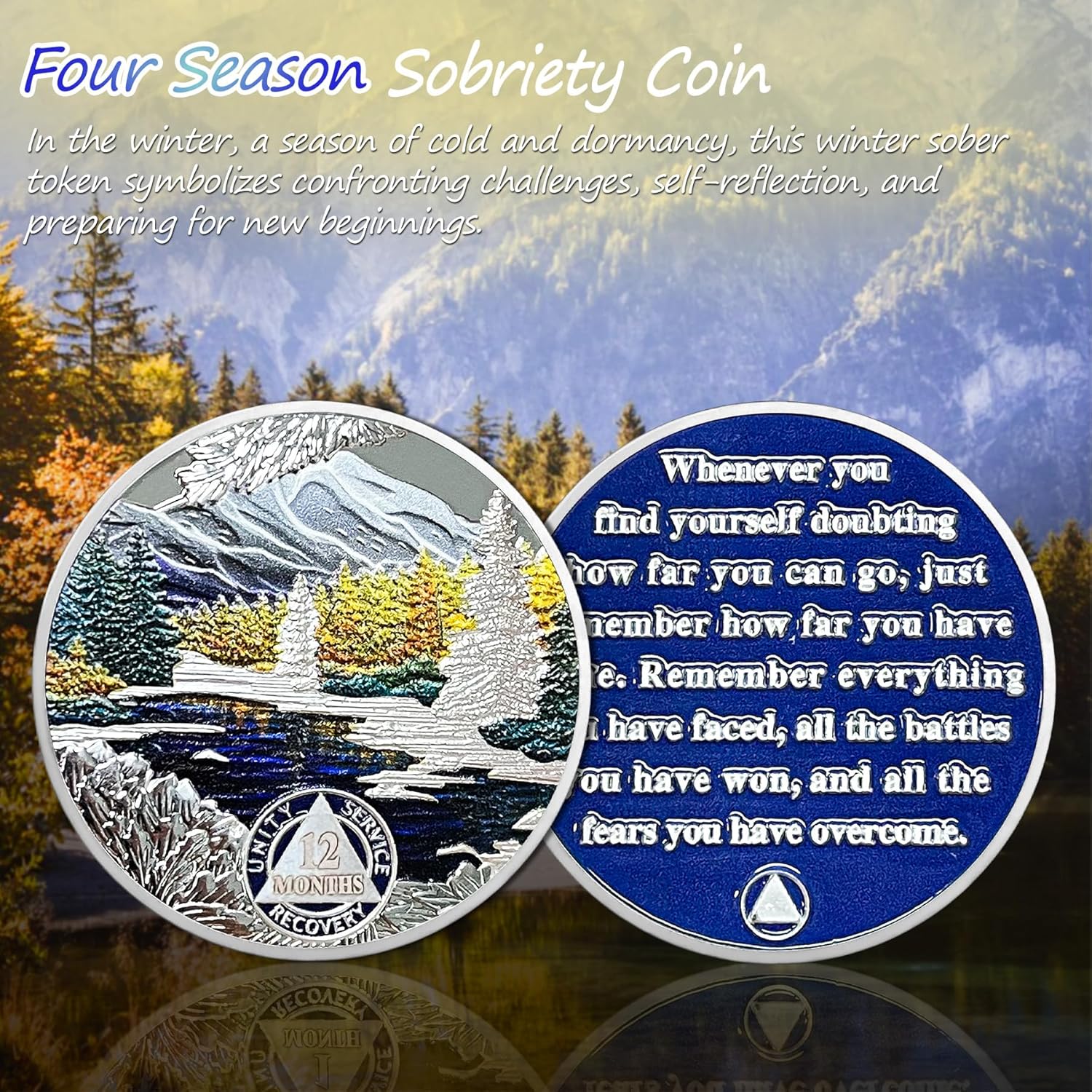 1-12 Month Recovery Seasonal Landscapes Sobriety Coins mysite