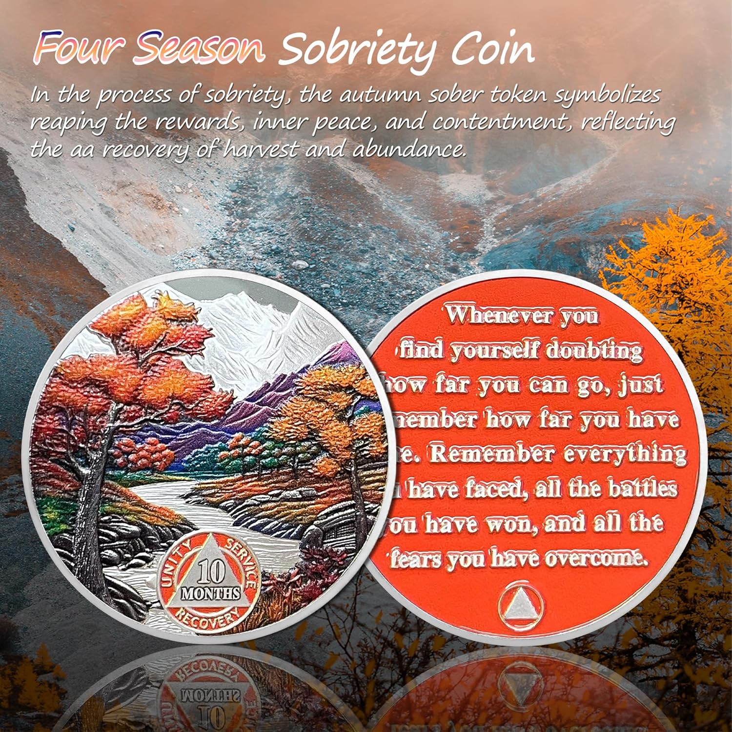 1-12 Month Recovery Seasonal Landscapes Sobriety Coins mysite