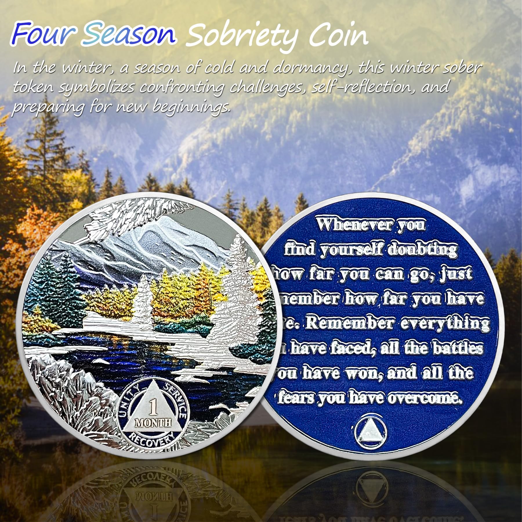 1-12 Month Recovery Seasonal Landscapes Sobriety Coins mysite