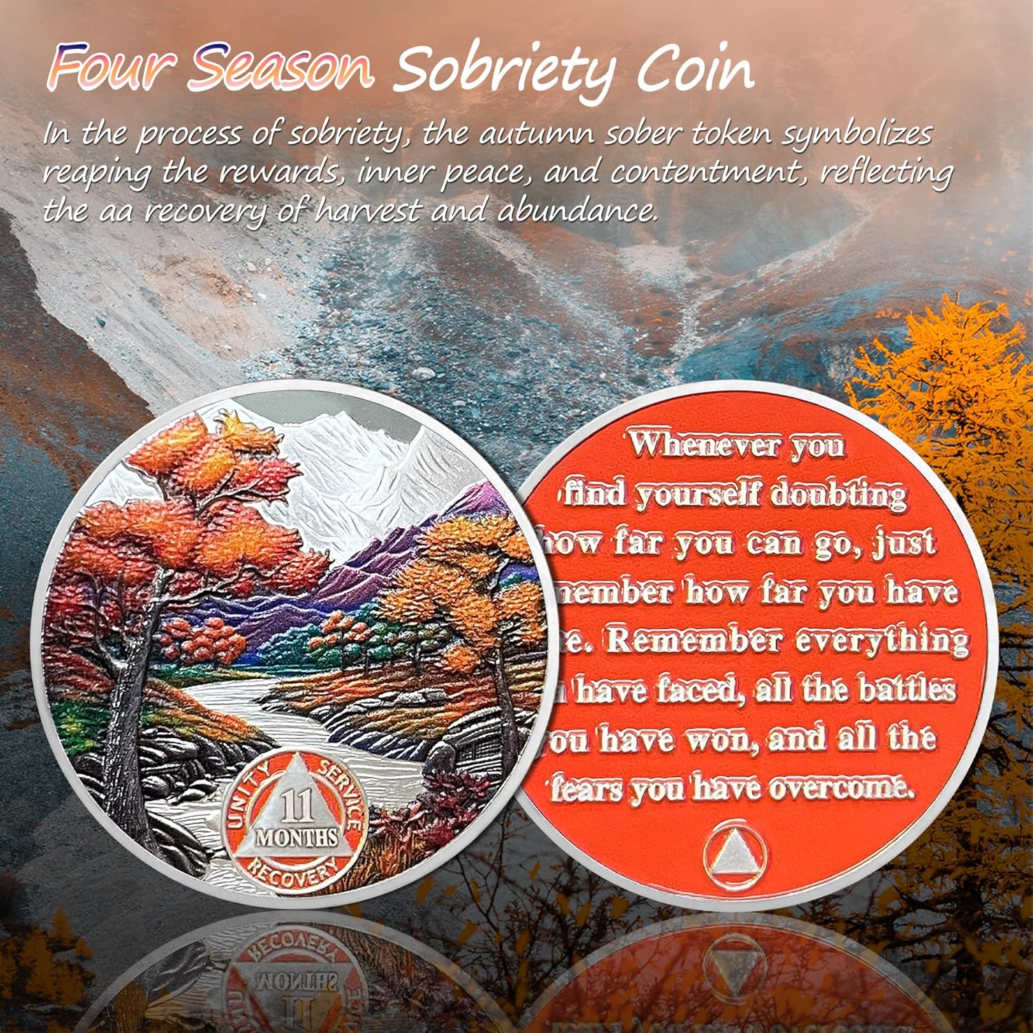1-12 Month Recovery Seasonal Landscapes Sobriety Coins mysite